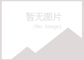 鹤岗兴山凌乱咨询有限公司